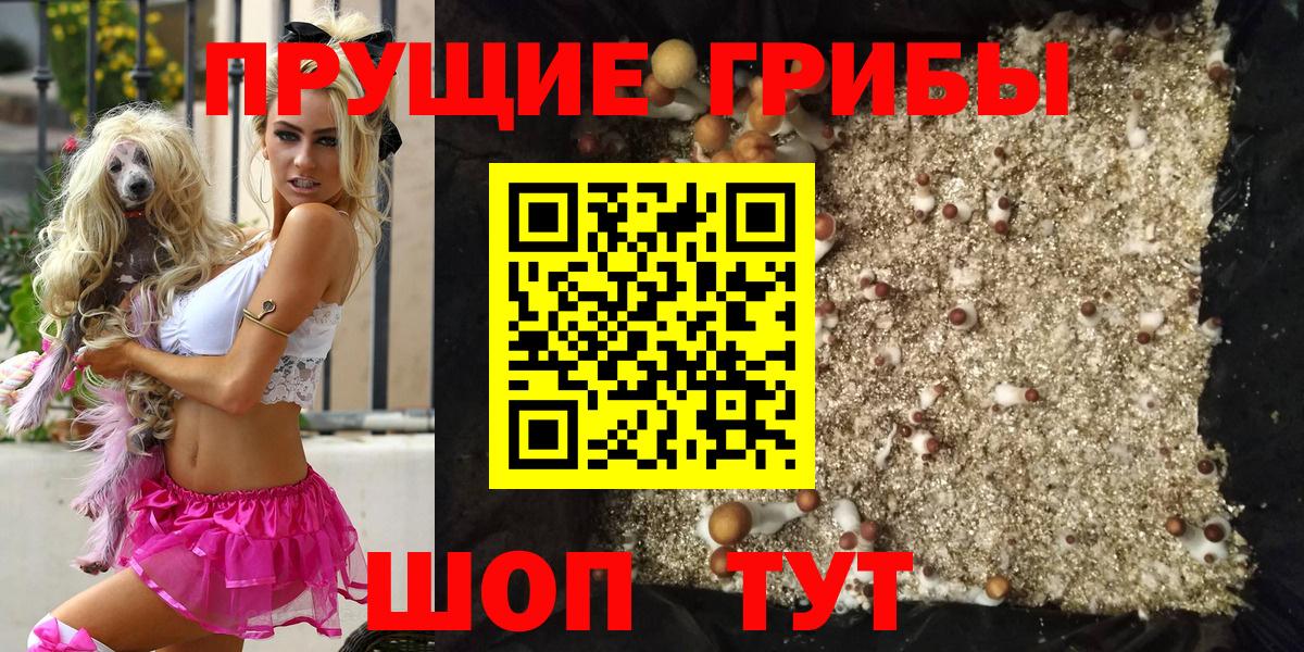 Псилоцибиновые грибы мицелий  Вход с VPN  Псилоцибиновые грибы мицелий  Нурлат 